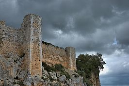 DSC03966 -1_t.jpg
